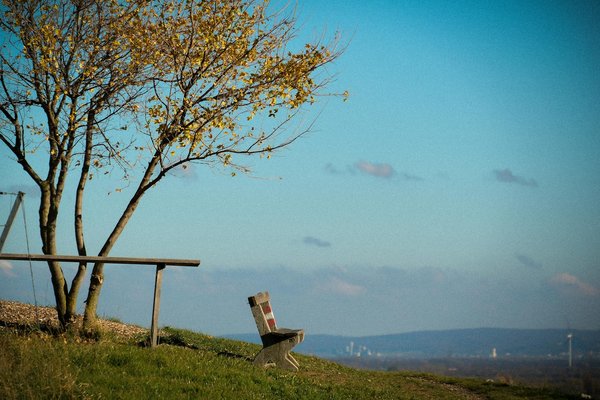 Sante Decouvertes Locales