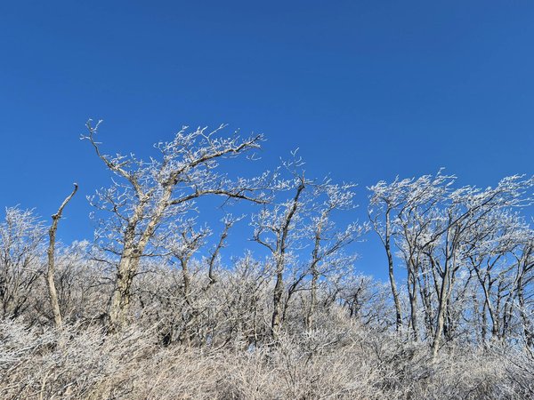 Huiles essentielles et beauté naturelle : quel lien ?